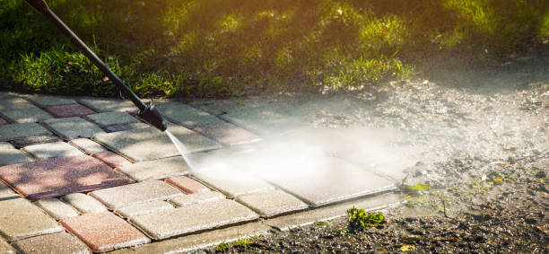 Best Sidewalk and Walkway Cleaning  in Meadow Lake, NM